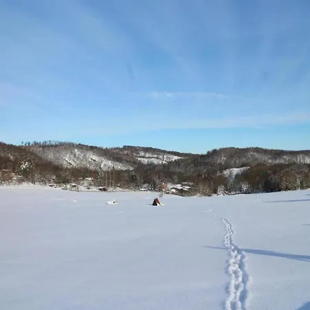 Quiet Garden Appartement *