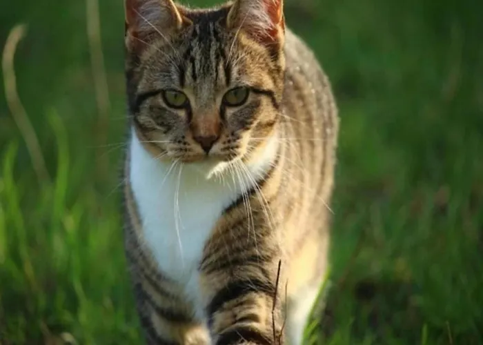 Quiet Garden Altenbrak